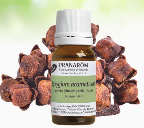 PRANAROM ORGANIC CLOVE OIL 10ML