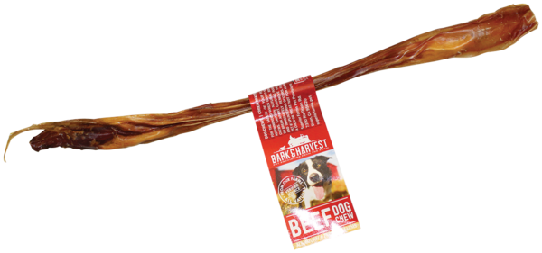 Bark &amp; Harvest Beef Pizzle 12”