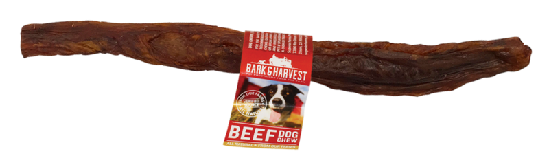 Bark Harvest Beef Bladder Stick 12"