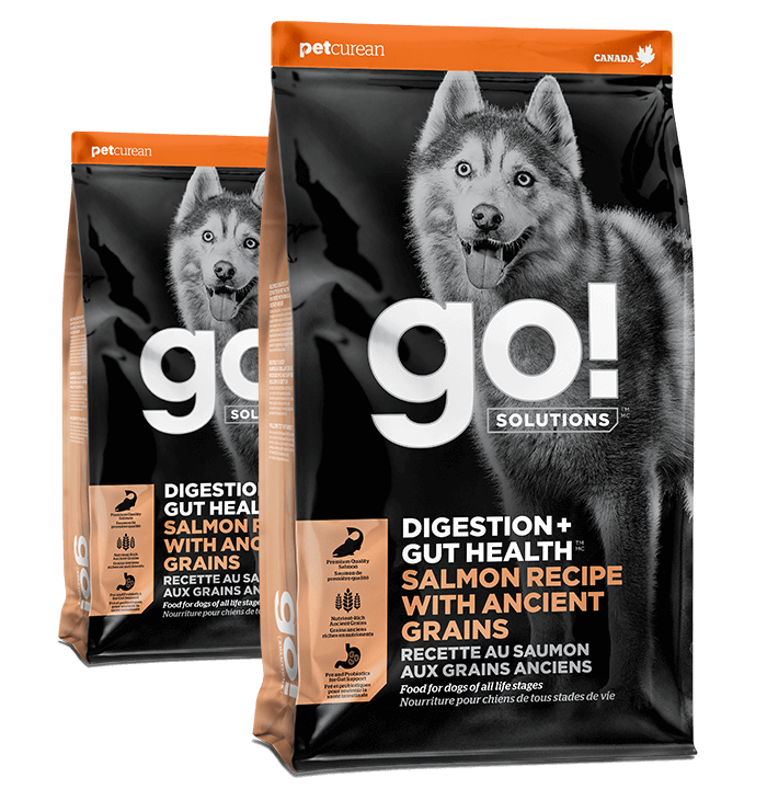 Go Dog Digestion/Gut Health , Flavor: Salmon, Size: 3.5