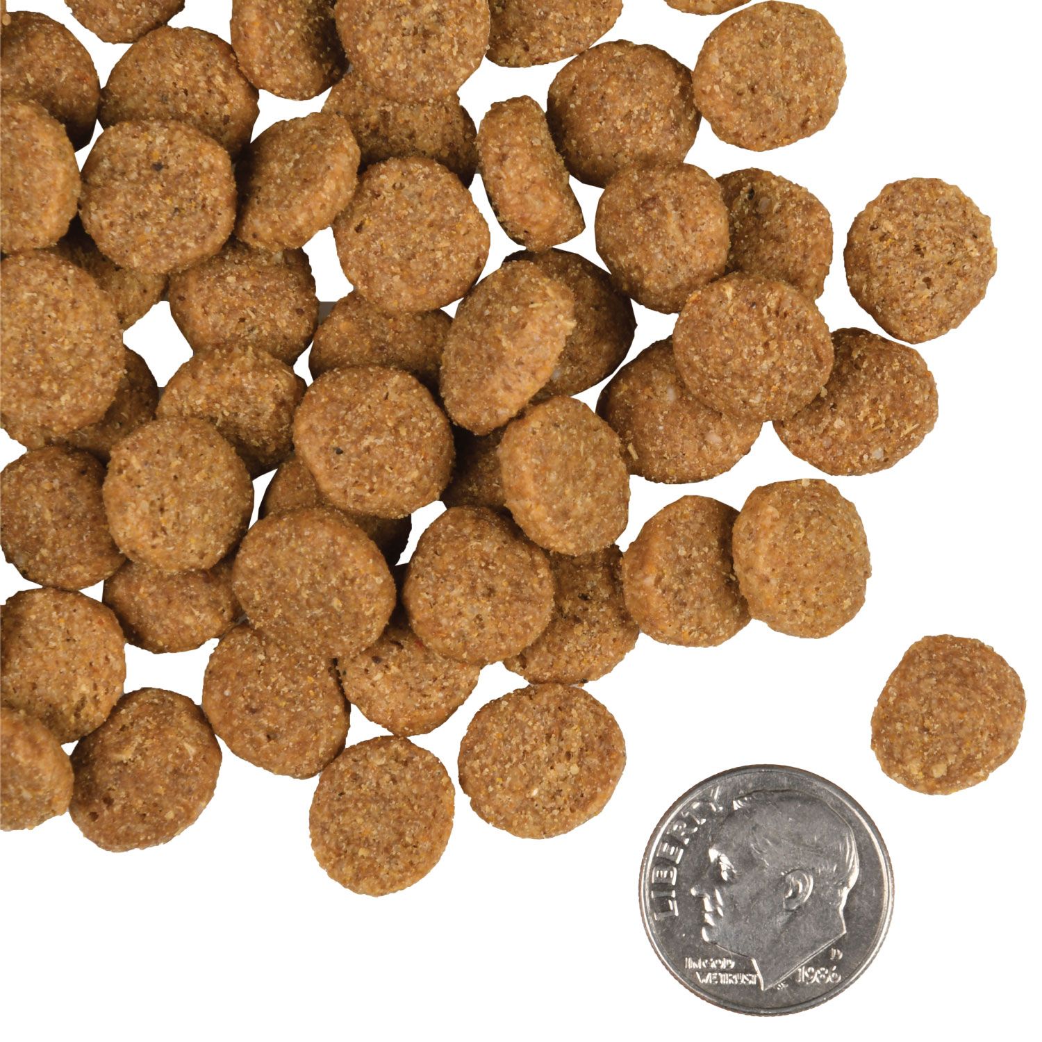 Fromm Gold GF Dog Large Breed Adult