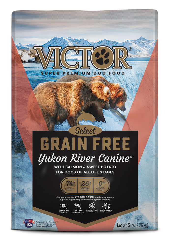 Victor GF Salmon / Sweet Potato 5lb