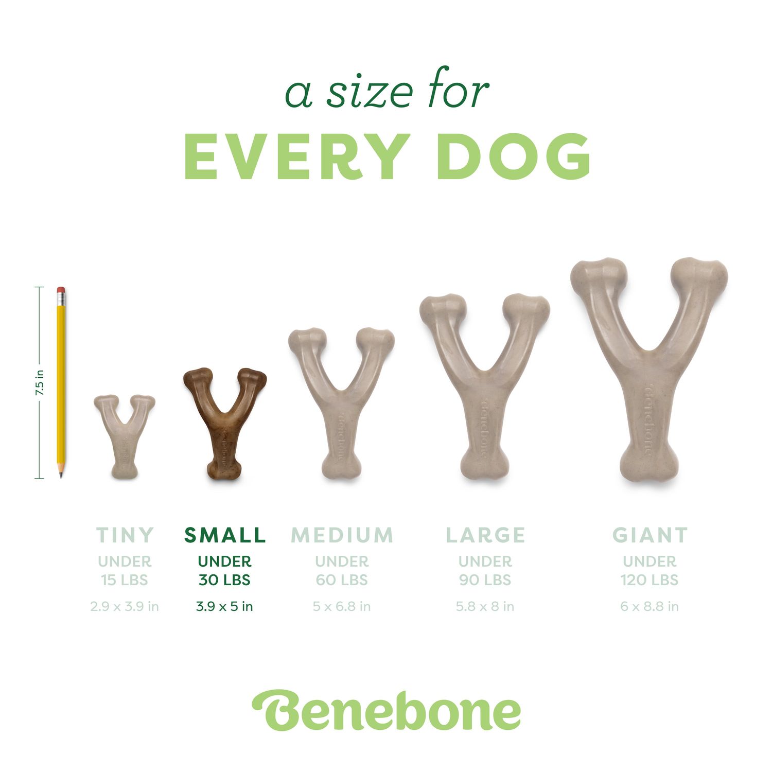 Benebone Wishbone Chicken Small