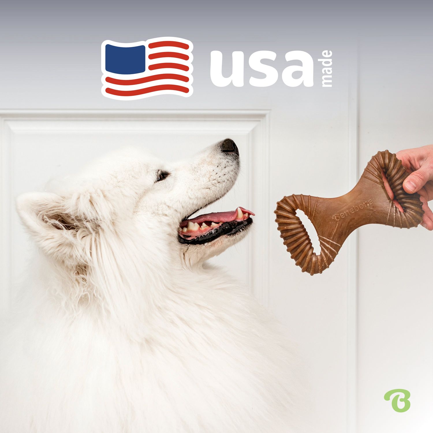 Benebone Dental Chew Chicken Small