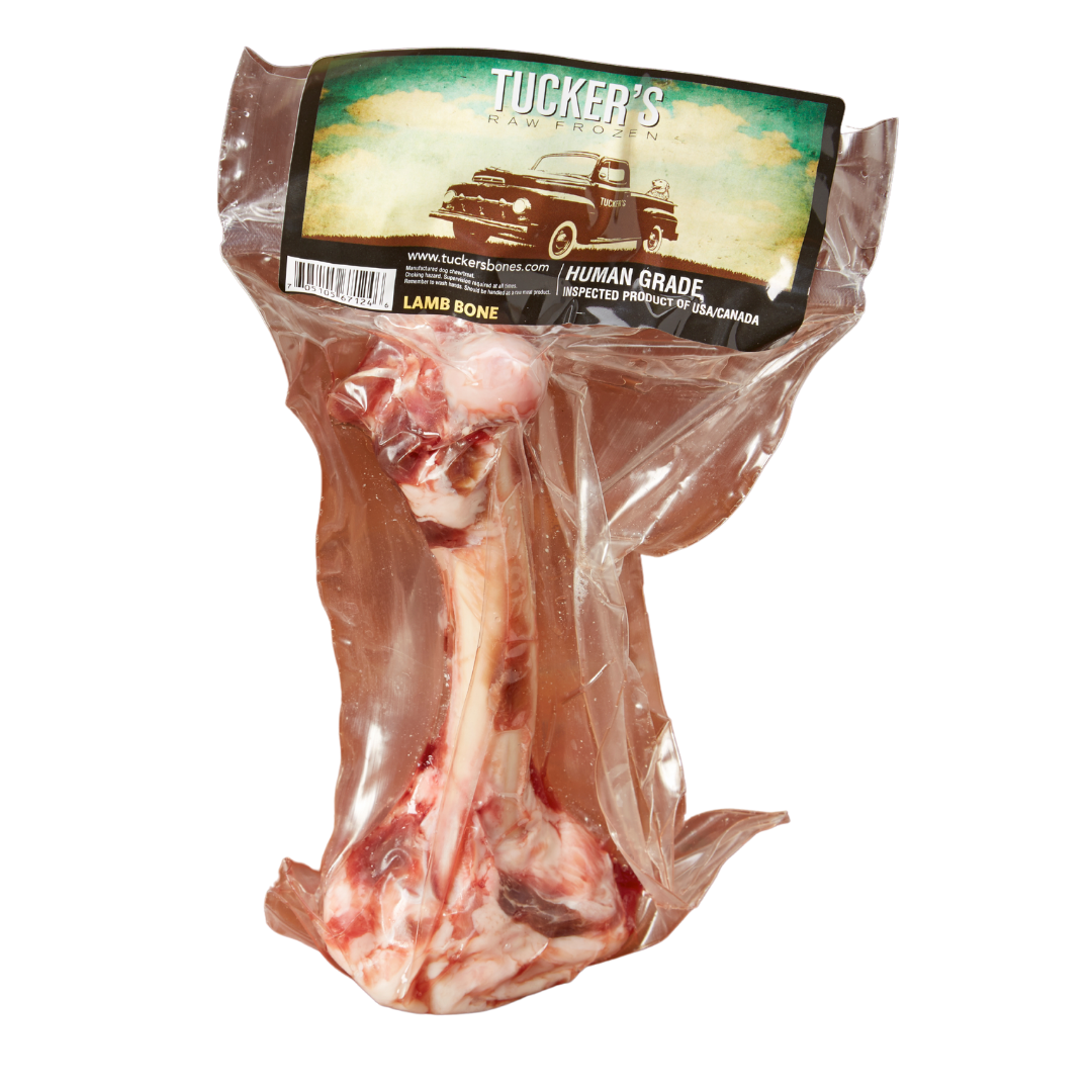 Tucker’s Frozen Raw Lamb Femur