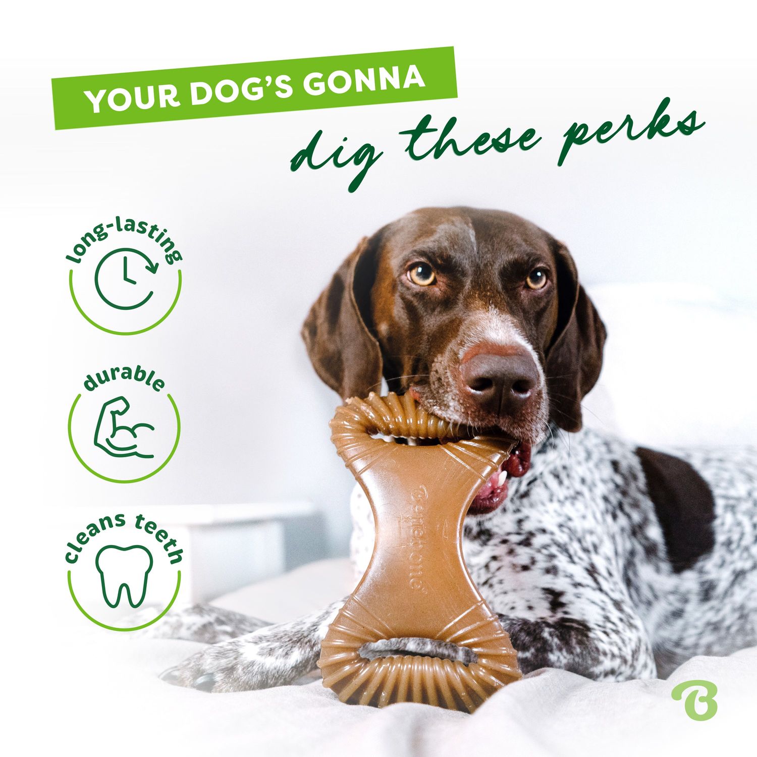 Benebone Dental Chew Chicken Lg