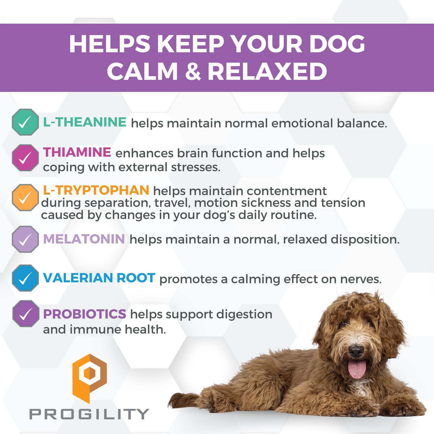 Nootie Progility Calming Trial Pack (30)