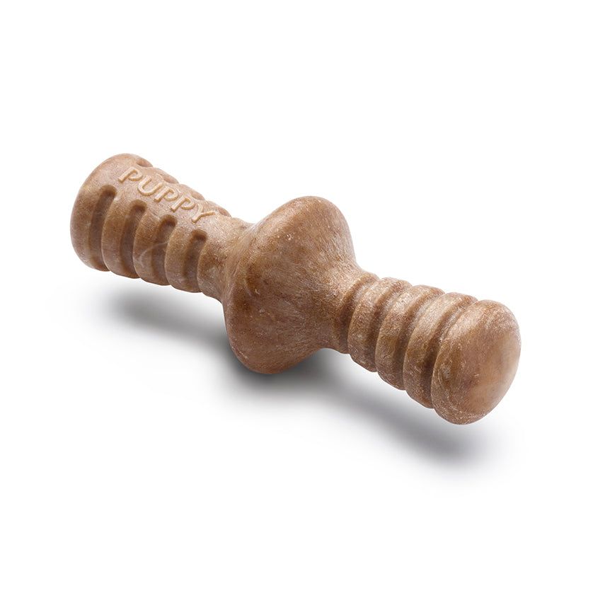 Benebone Puppy 2pk Stick/Zag Bacon