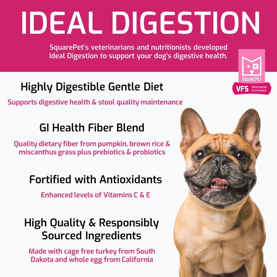 Square Pet VFS Ideal Digestion 4.4#
