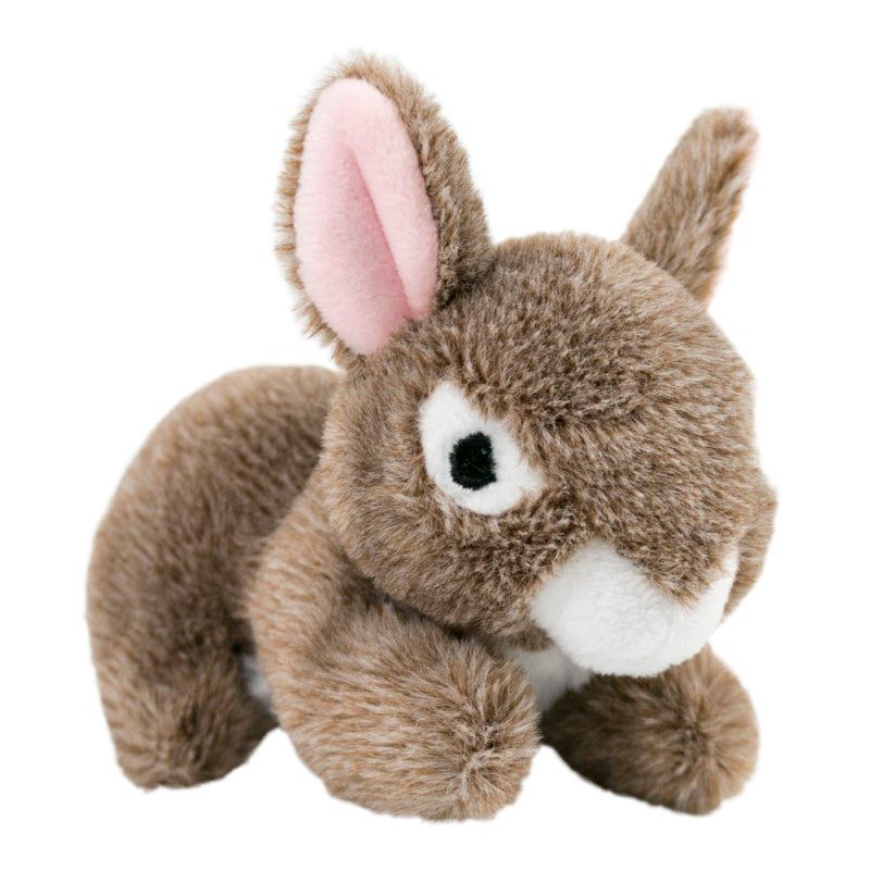 Tall Tails Plush Bunny w/ Squeaker Toy 5”
