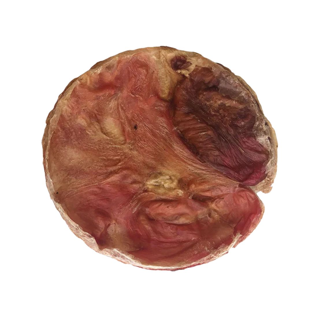 Home Range FursBee Beef Bladder Disc (15)