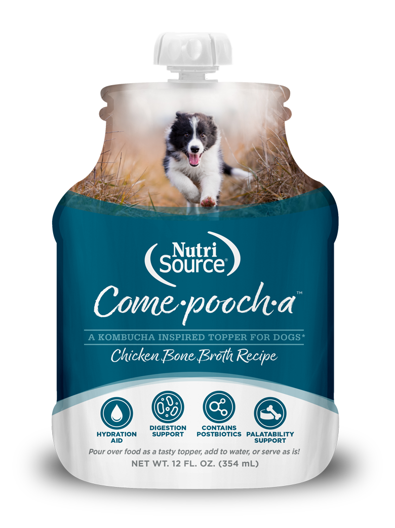 NS Come Pooch A Bone broth Chicken 12 oz
