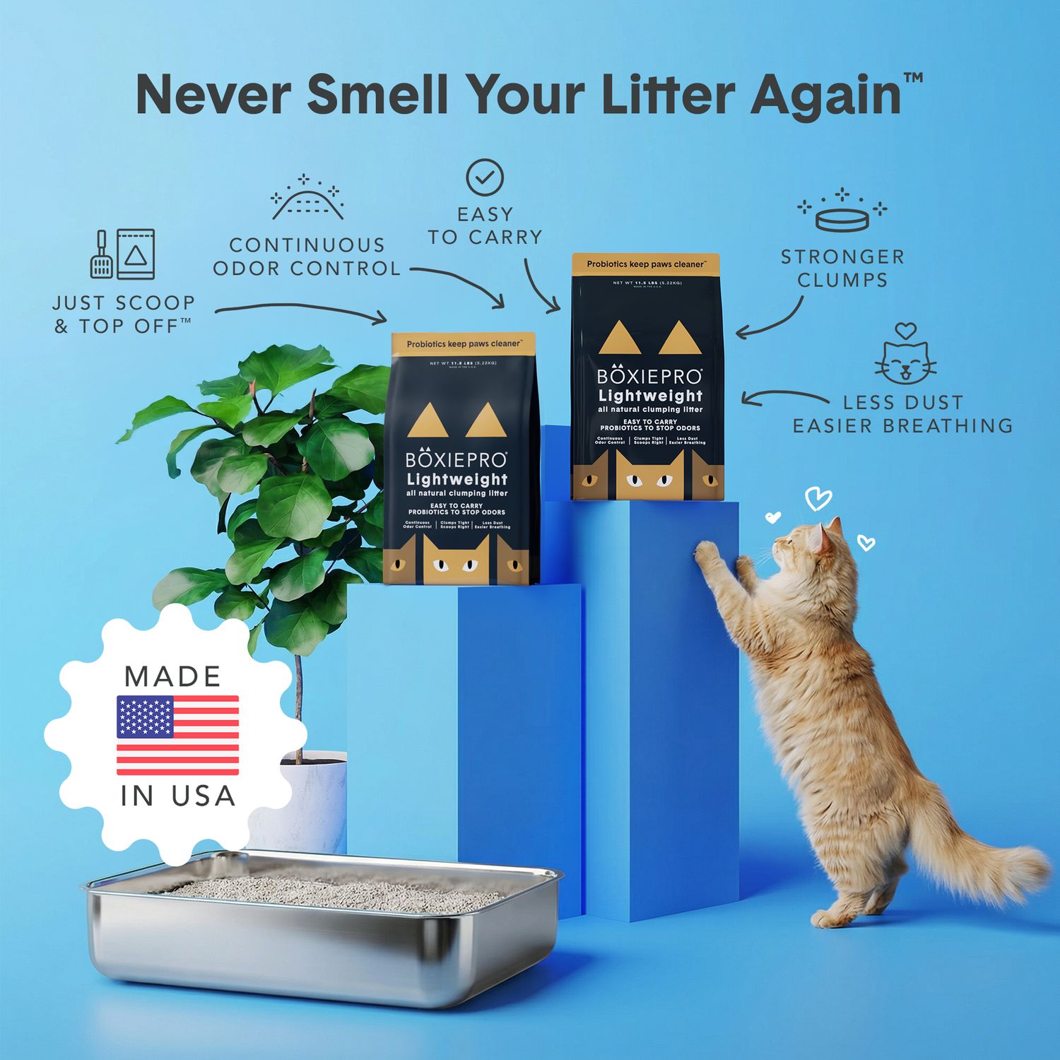 Boxie PRO AIR Lightweight PROBIOTIC Litter 6.5#