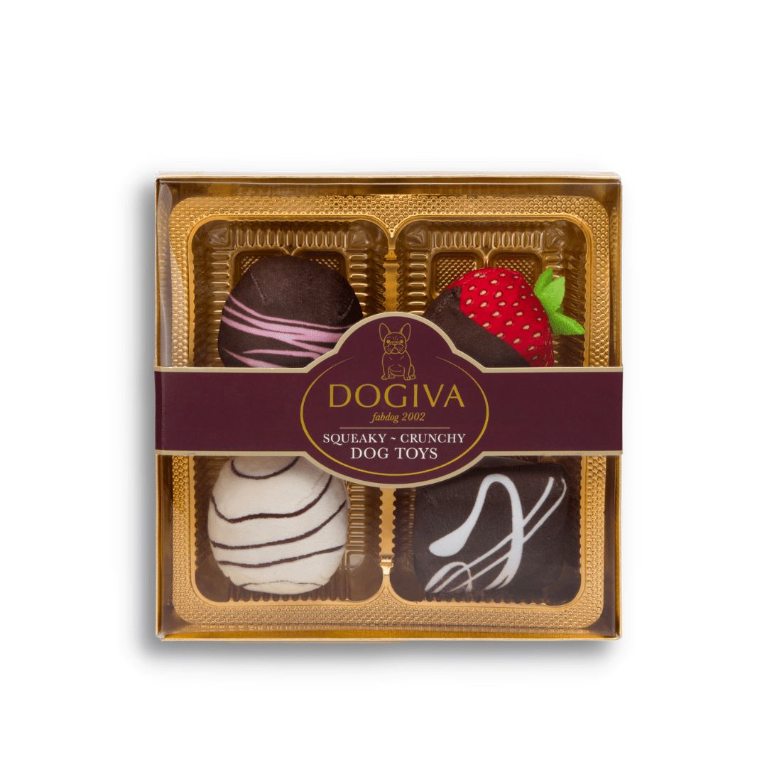 Fabdog FOODIES Dogiva Chocolates