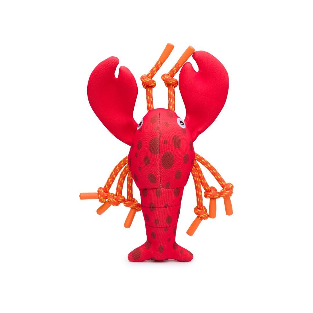 Fabdog Floatie Lobster