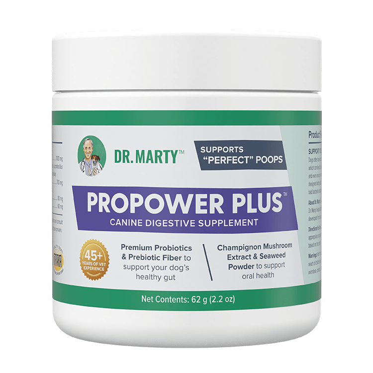 DM Propower Plus Digestive Supp. 2.2 oz.