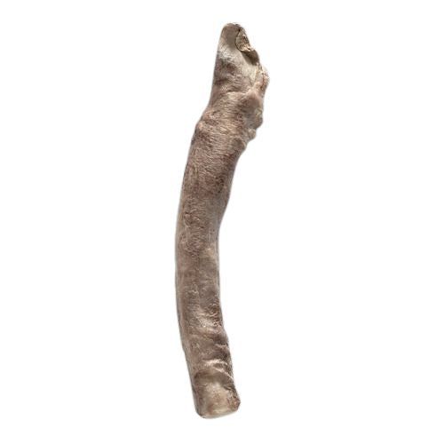Bones &amp; Co FD Bully Sticks Bulk (35)