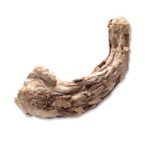 Bones &amp; Co FD Turkey Necks Bulk