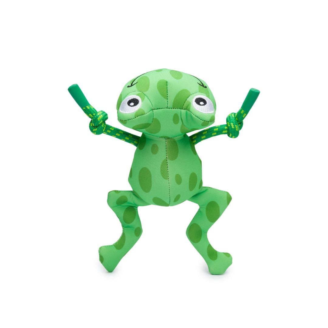 Fabdog Floatie Frog