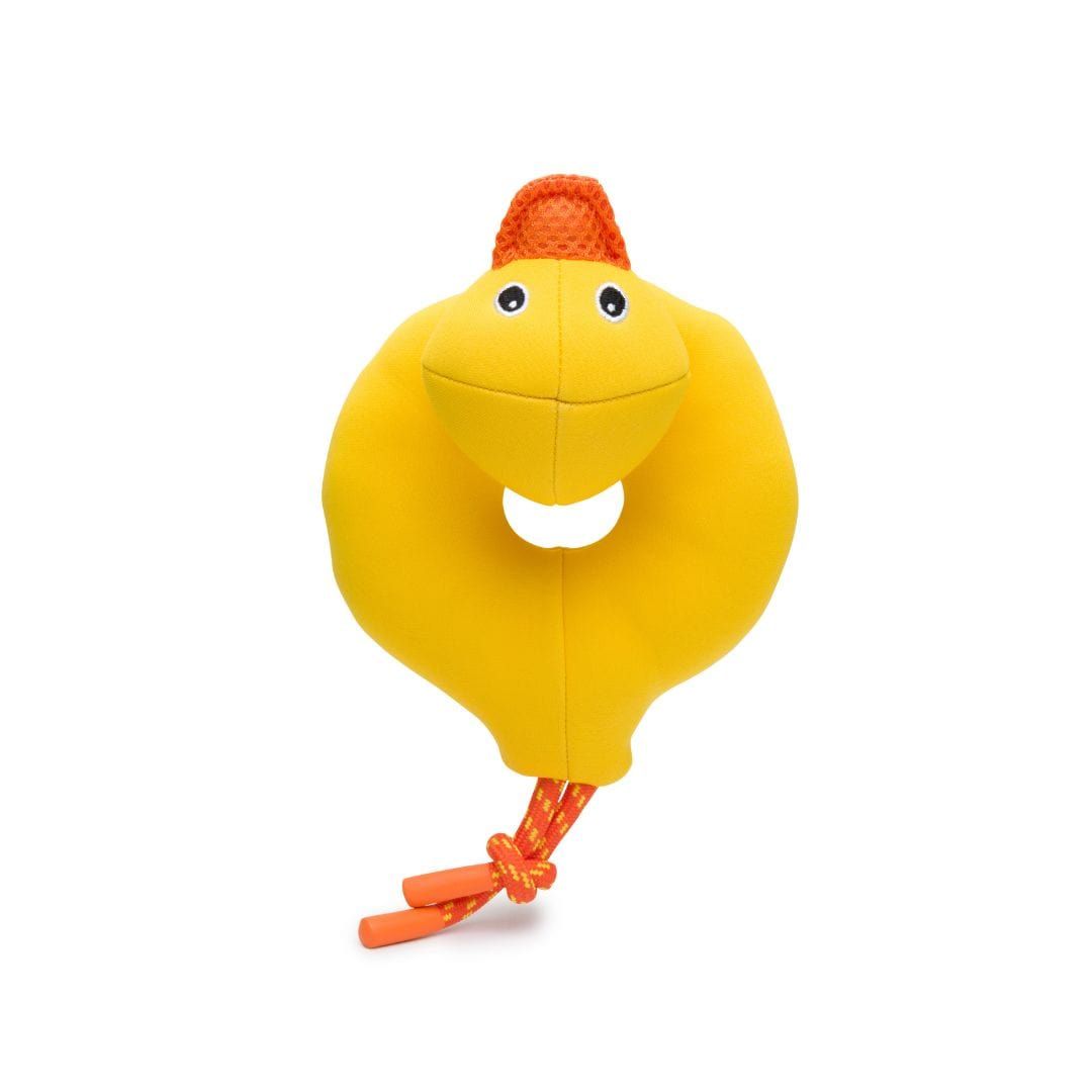 Fabdog Floatie Duck
