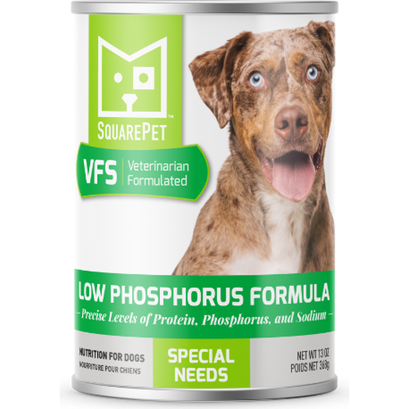 Square Pet Low Phos Dog Can 13 oz