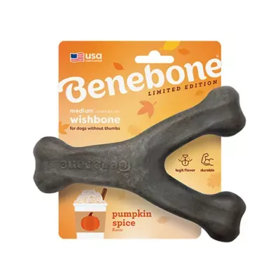 Benebone Wishbone Med. Pumpkin Spice