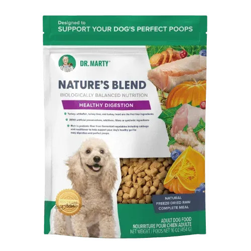 DM Nature’s Blend Healthy Digestion 48 oz