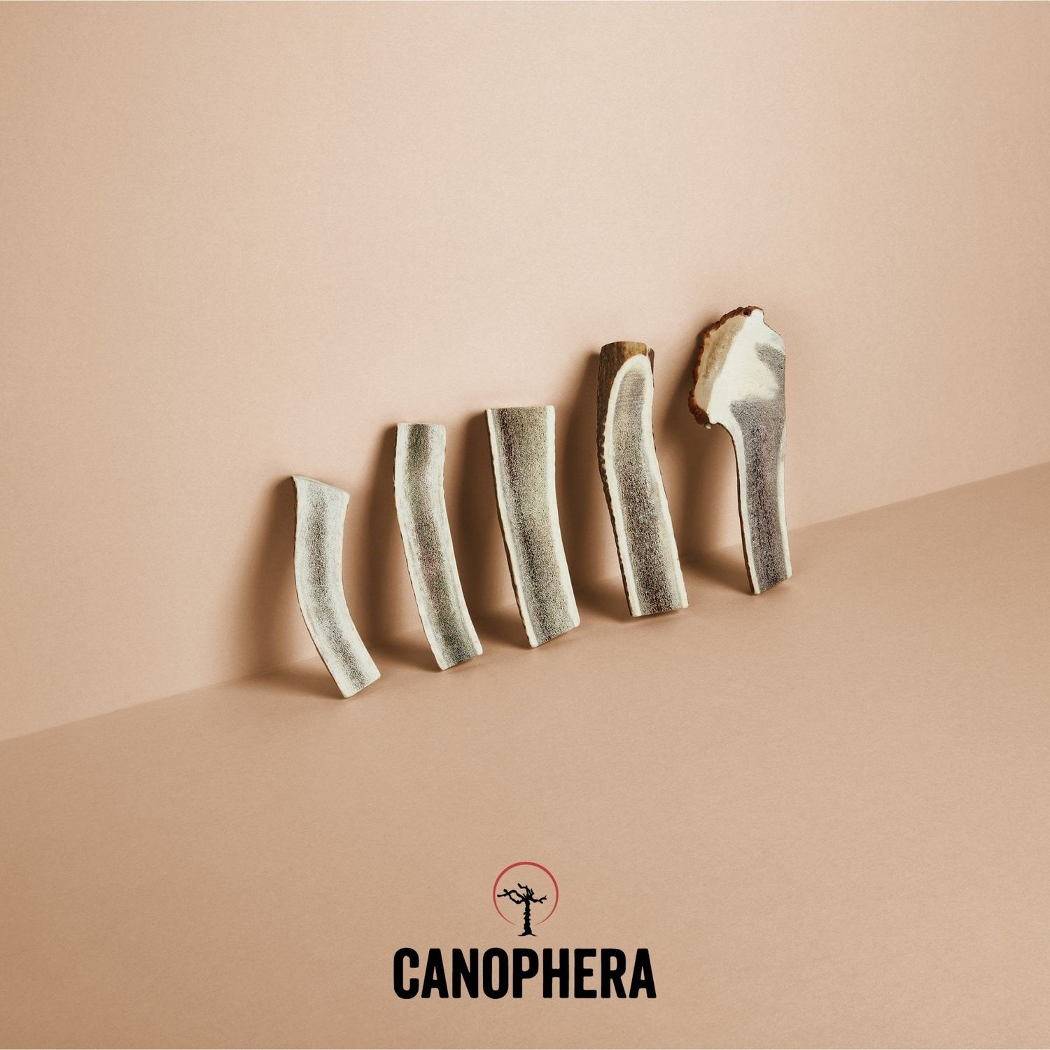 Canophera Red Deer Antler Split Chew Lg