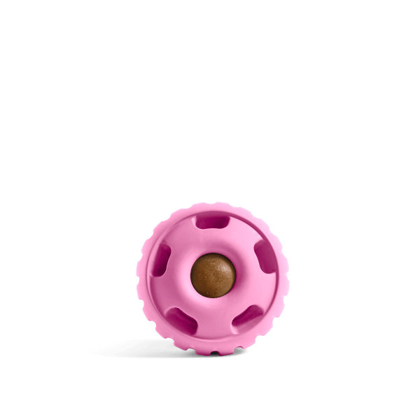 WOOF Pupsicle Toy Birthday Pink XL