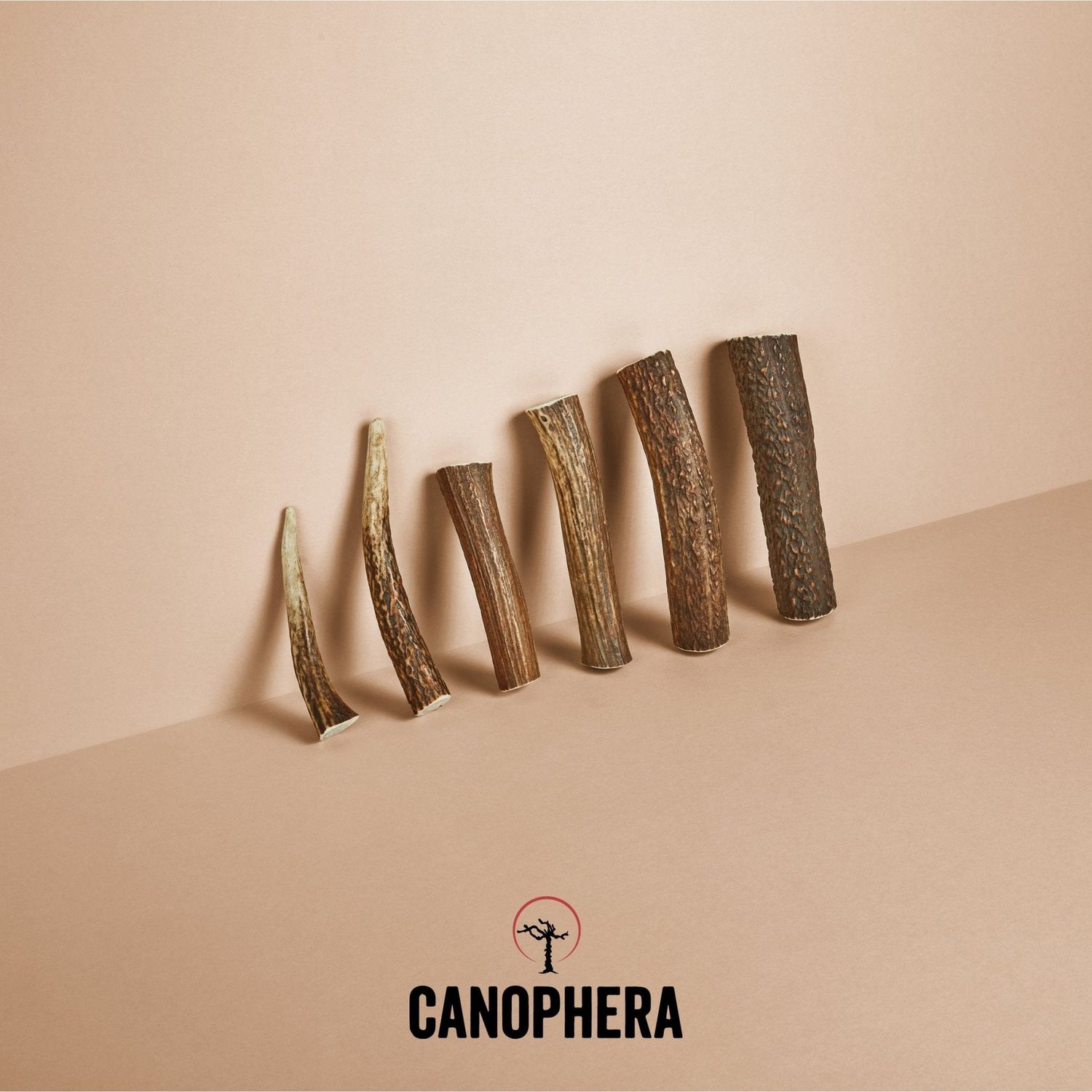 Canophera Red Deer Antler Chew Lg