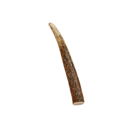 Canophera Red Deer Antler Chew Sm