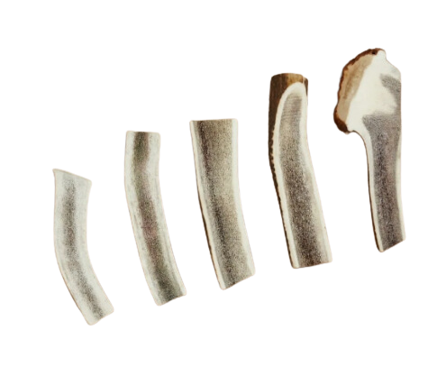 Canophera Red Deer Antler Split Chew Sm