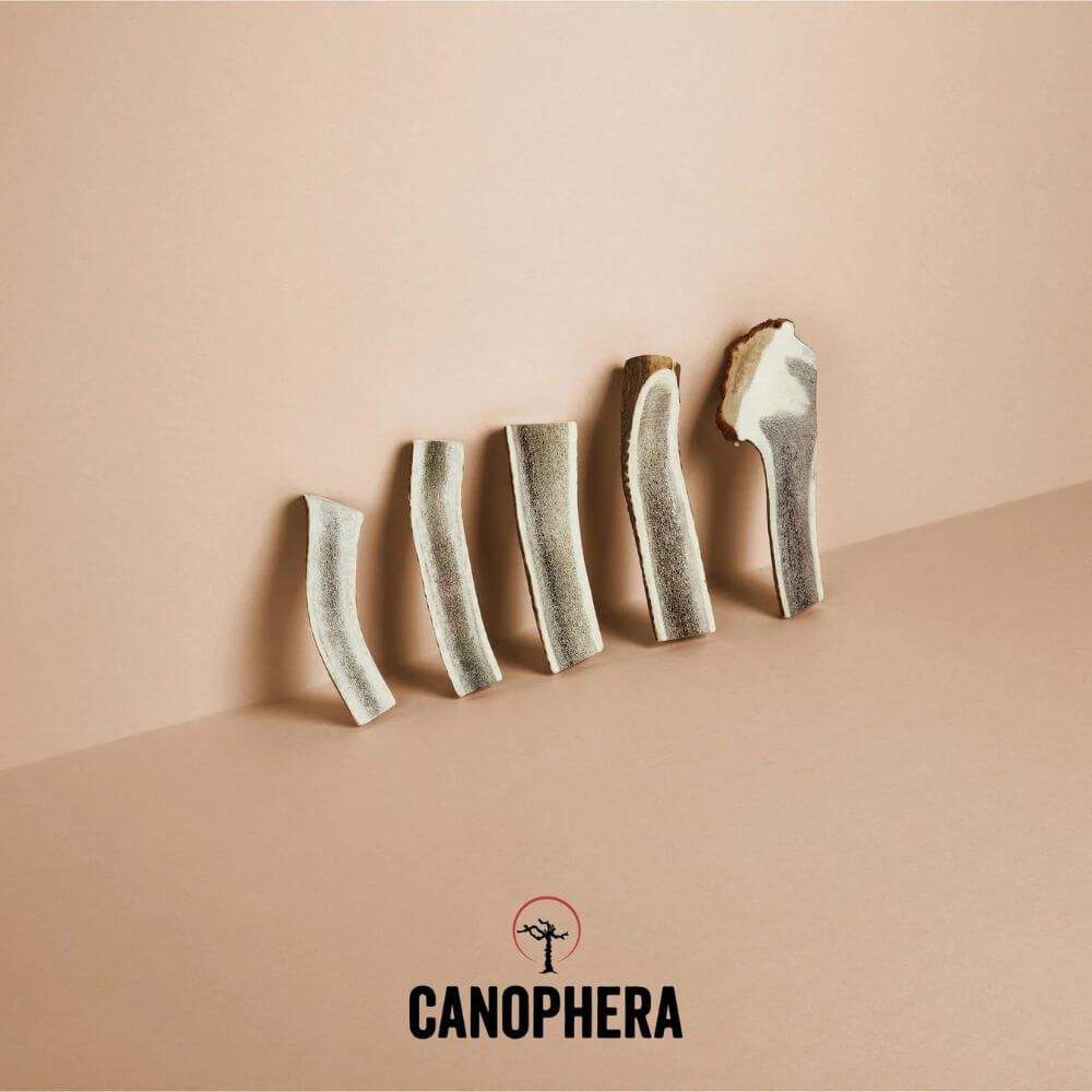Canophera Red Deer Antler Split Chew XS