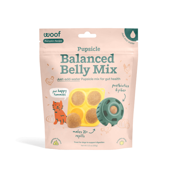 WOOF Pupsicle Treat Mix Pumpkin Balanced Belly 5.5 oz