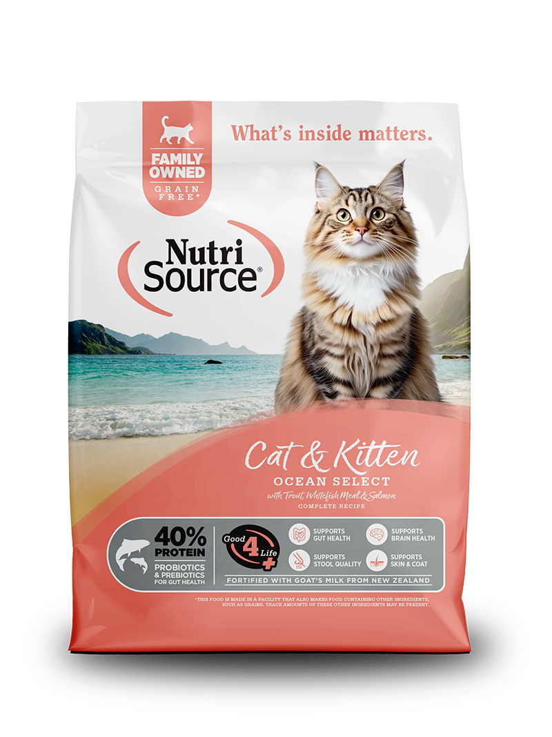 Nutrisource GF Kitten Ocean Select 12 lb