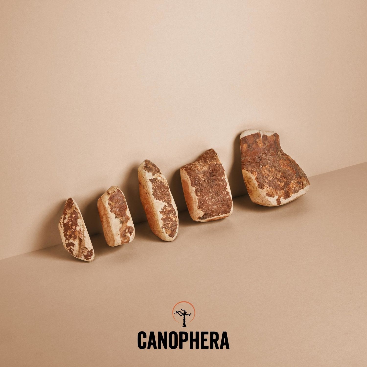 Canophera Briar Root Chew Small