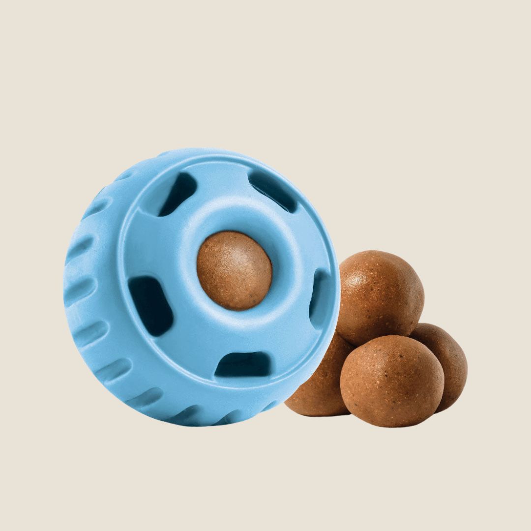 WOOF Pupsicle Toy Birthday Blue XL