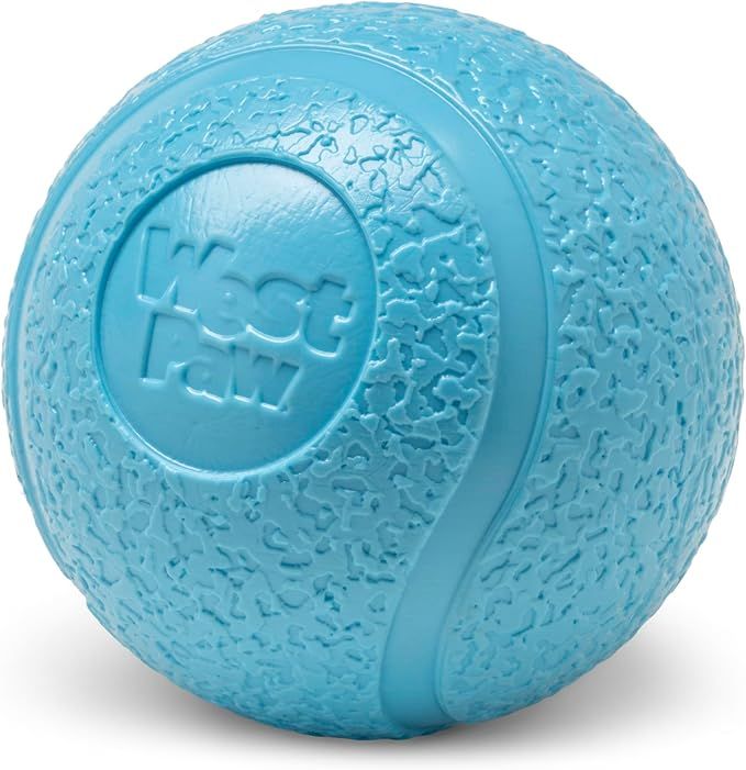 West Paw Boundr Lg Glow