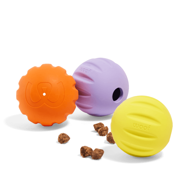 WOOF Flyball 3 pack