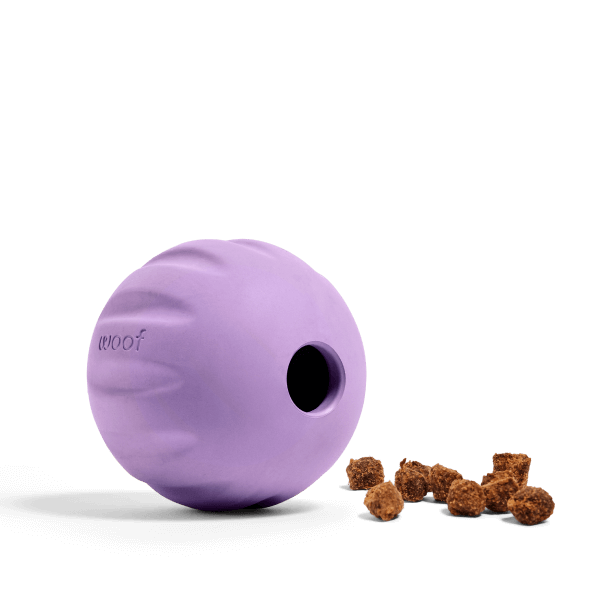 WOOF Flyball Lavender