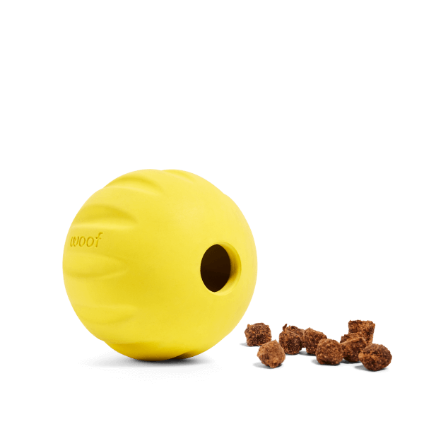 WOOF Flyball Yellow