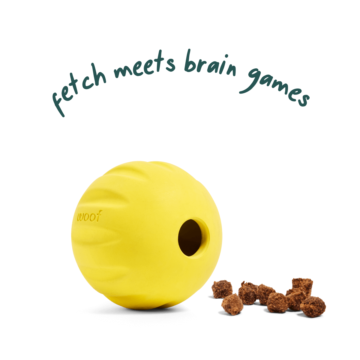 WOOF Flyball Yellow