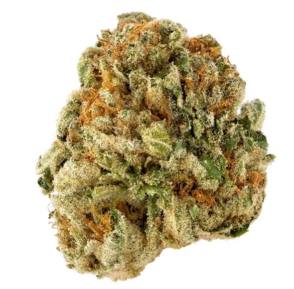 Watermelon Ice -Hybrid