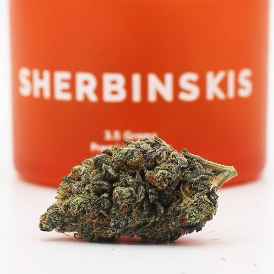 SHERBINSKIS - PREMIUM INDOOR FLOWERS