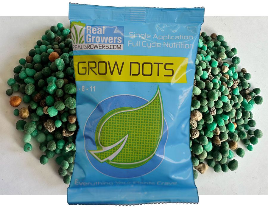 Grow Dots Classic