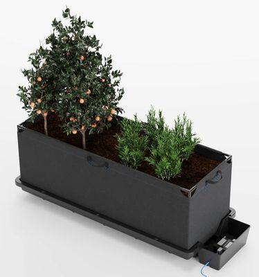 AutoPot Tray2Grow System with Raised Garden Bed