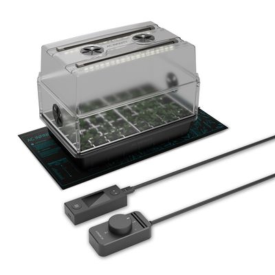 Germination and Seedlings