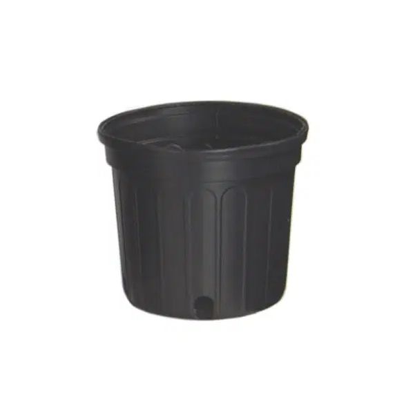 Black Nursery Pot, Size: 1g