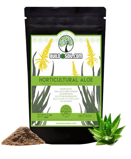 Build-A-Soil Horticultural Aloe