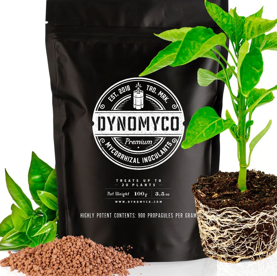Dynomyco Premium Mycorrhizal Inoculants, Size: 100g - 20 Plants